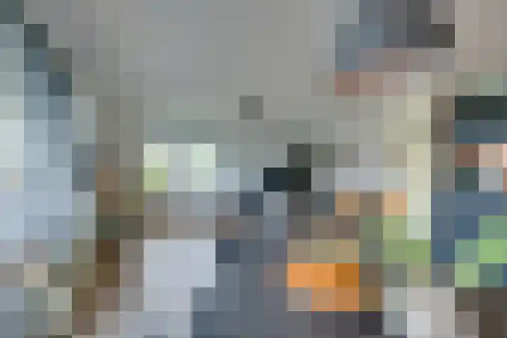 Fonteinkruid 57 Oudkarspel thumbnail 22