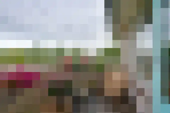 Fonteinkruid 57 Oudkarspel thumbnail 30