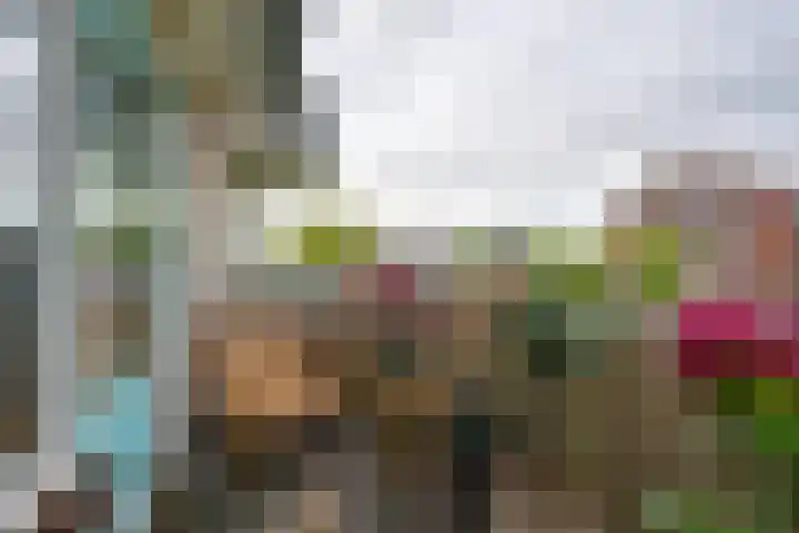 Fonteinkruid 57 Oudkarspel thumbnail 31