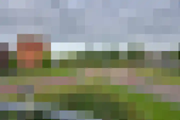 Fonteinkruid 57 Oudkarspel thumbnail 33