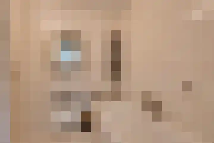 Fonteinkruid 57 Oudkarspel thumbnail 38