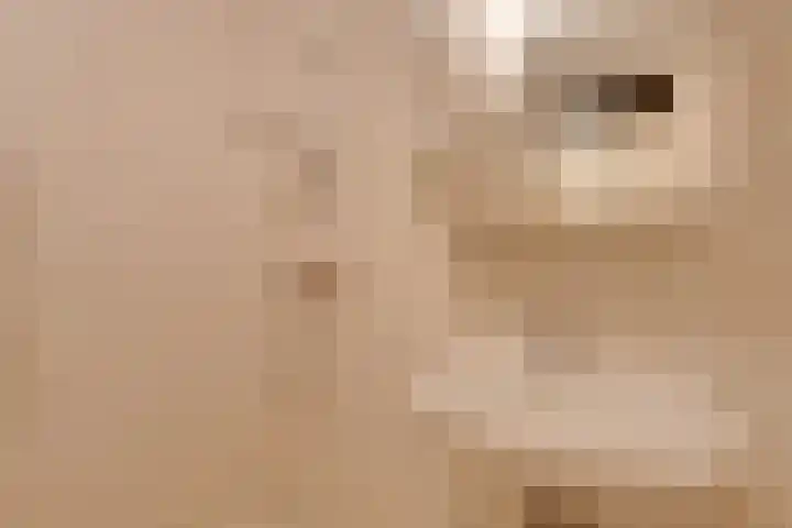 Fonteinkruid 57 Oudkarspel thumbnail 39