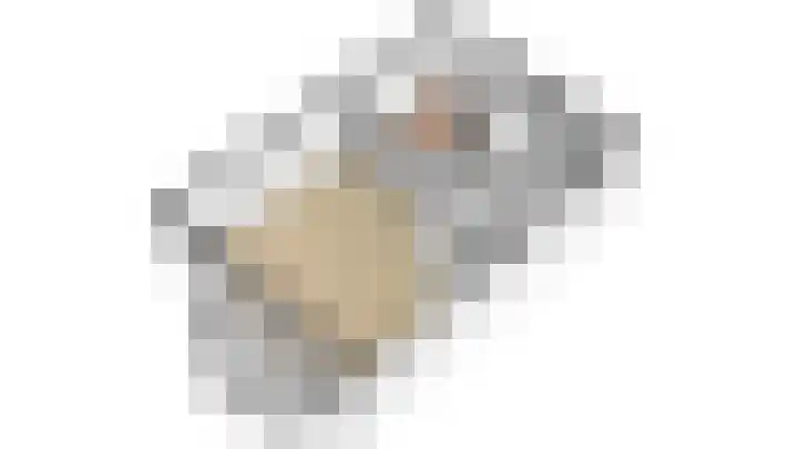 Fonteinkruid 57 Oudkarspel thumbnail 49