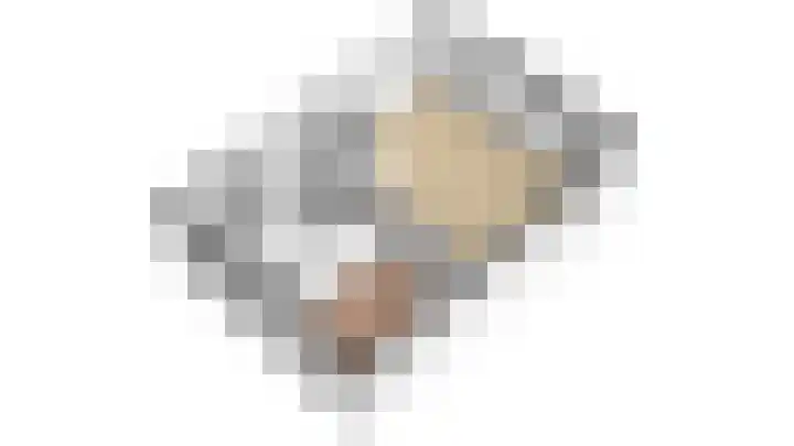 Fonteinkruid 57 Oudkarspel thumbnail 50