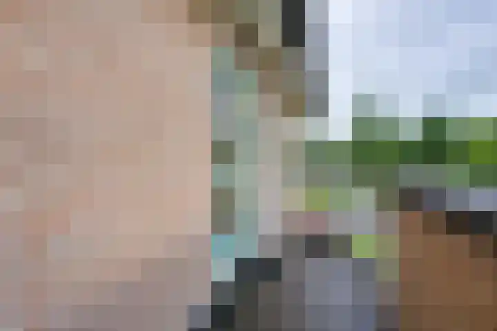 Fonteinkruid 57 Oudkarspel thumbnail 8