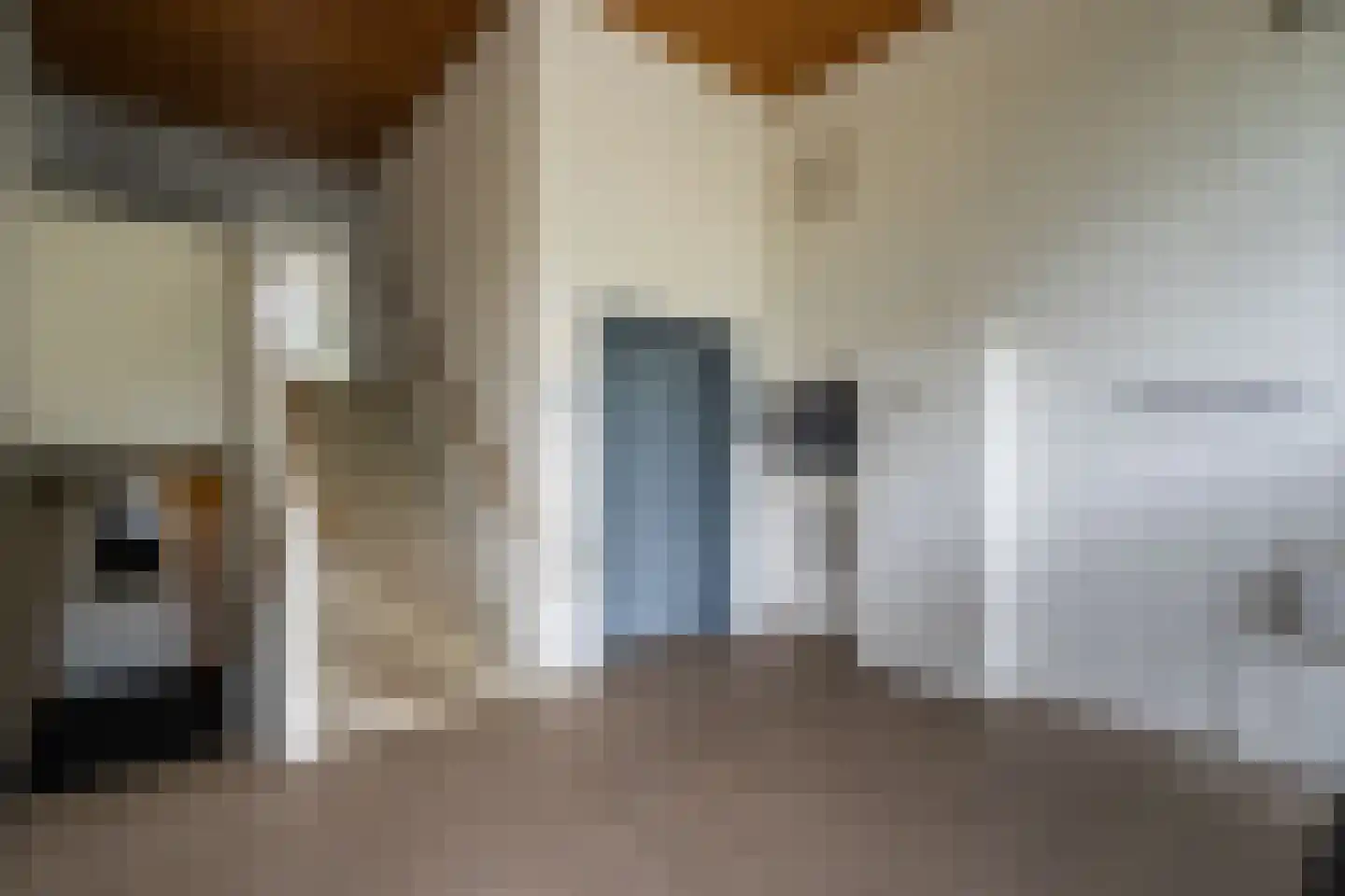 Fonteinkruid 57 Zwolle thumbnail 10