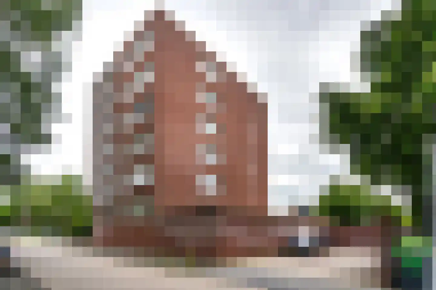 Fonteinkruid 57 Zwolle thumbnail 13