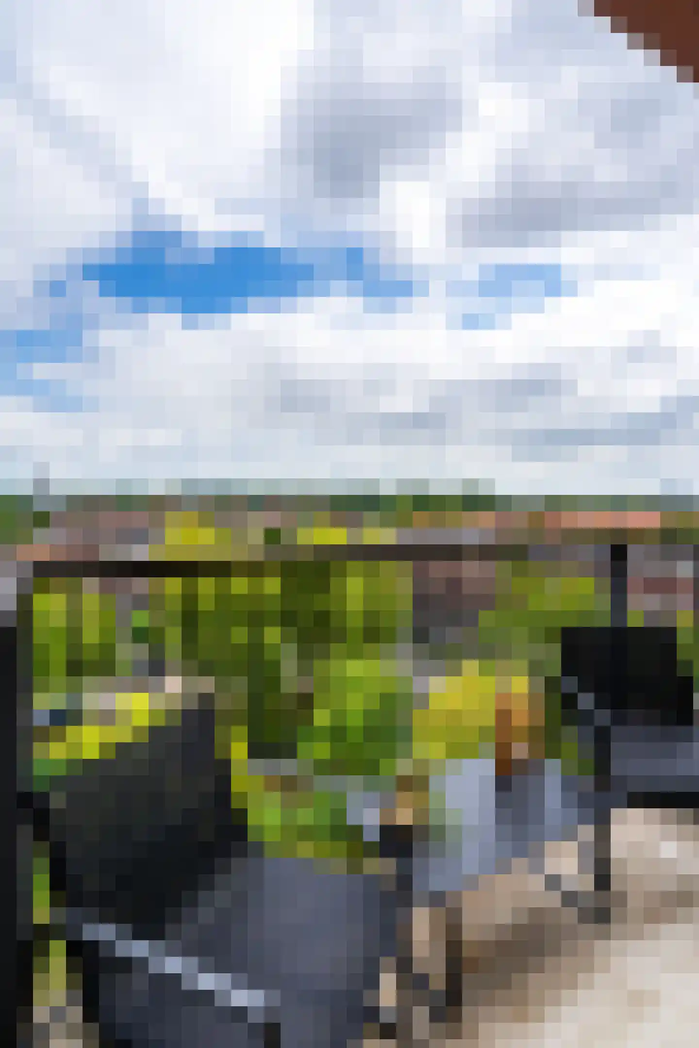 Fonteinkruid 57 Zwolle thumbnail 24