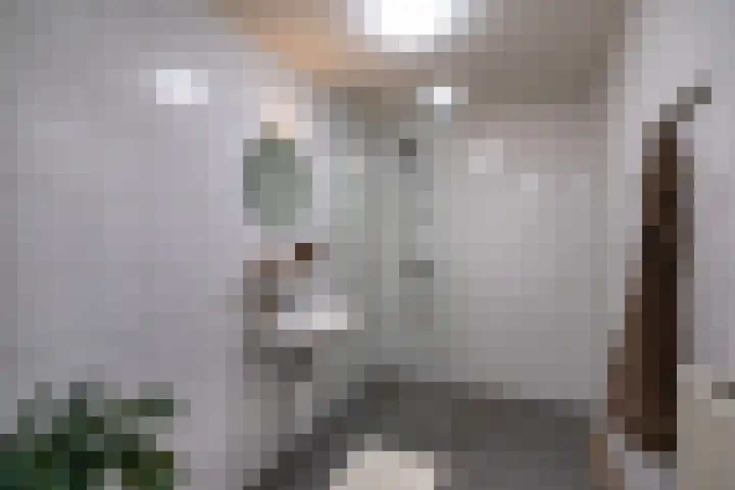 Fonteinkruid 57 Zwolle thumbnail 27