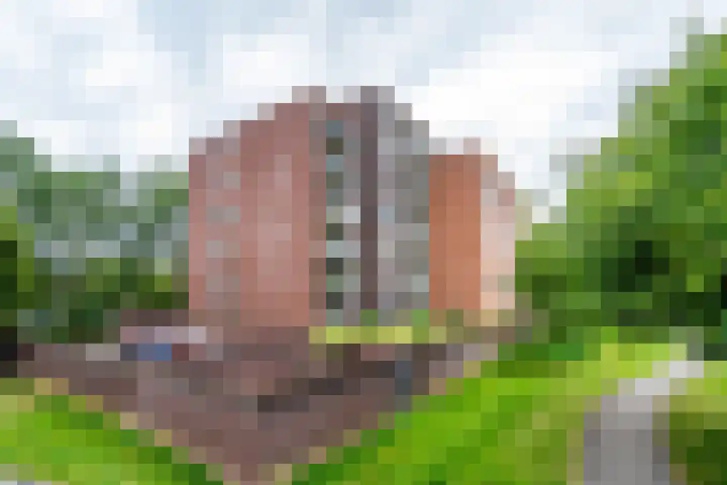Fonteinkruid 57 Zwolle thumbnail 44