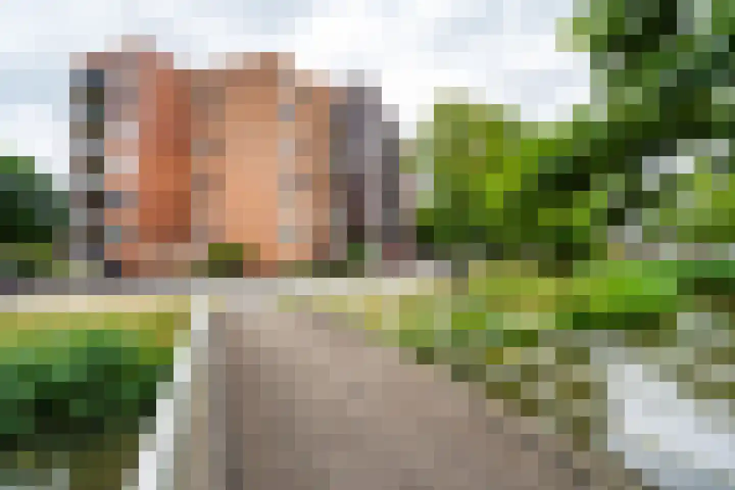 Fonteinkruid 57 Zwolle thumbnail 45