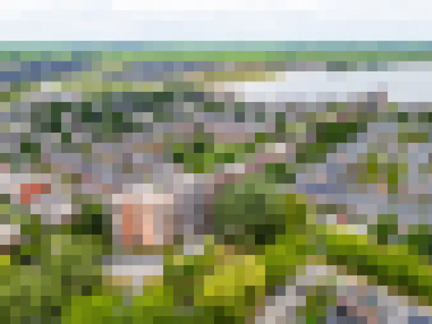 Fonteinkruid 57 Zwolle thumbnail 5