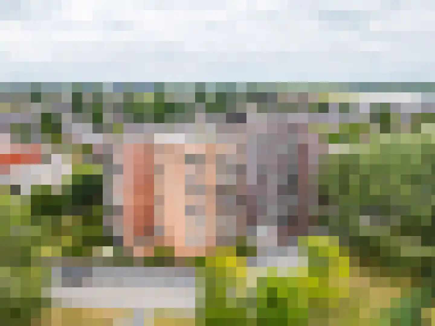 Fonteinkruid 57 Zwolle thumbnail 6
