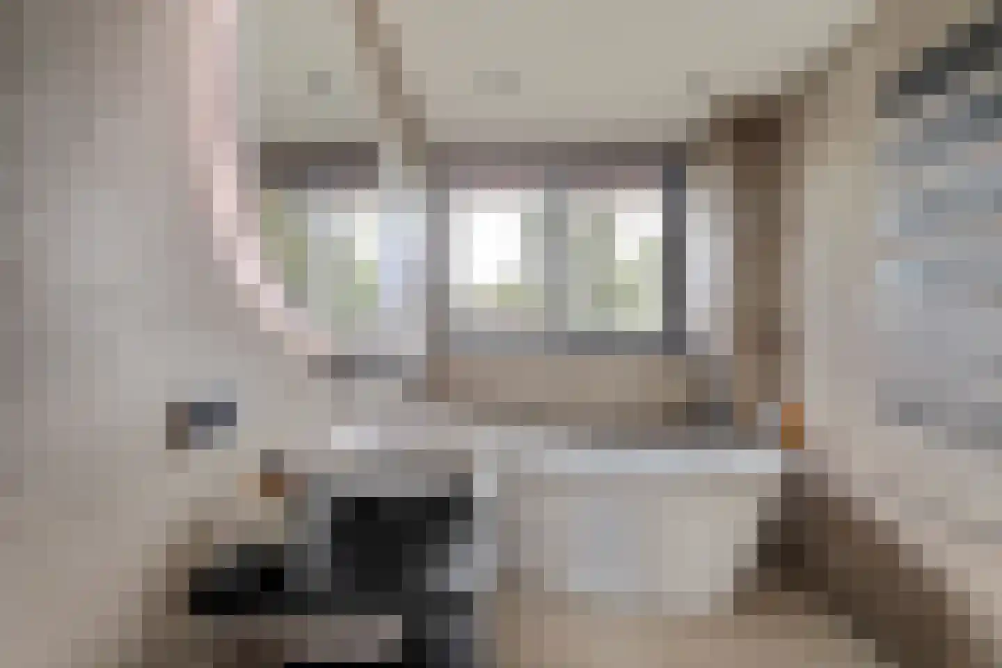 Fonteinkruid 58 Hendrik-Ido-Ambacht thumbnail 4