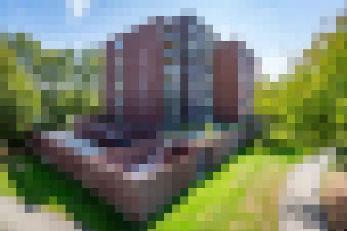 Fonteinkruid 59 Zwolle thumbnail 10