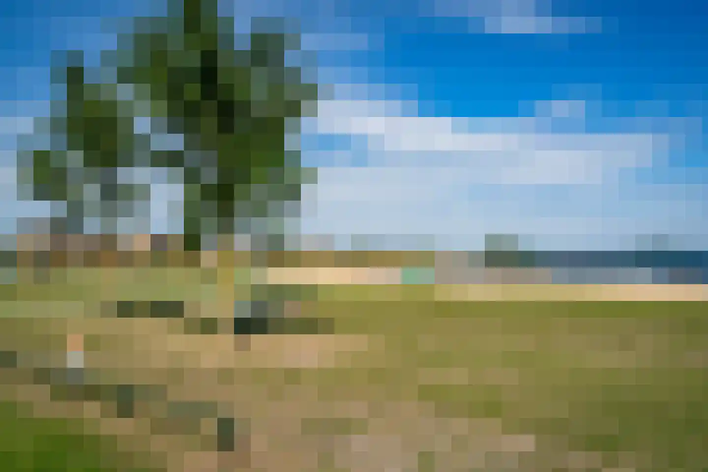 Fonteinkruid 59 Zwolle thumbnail 58