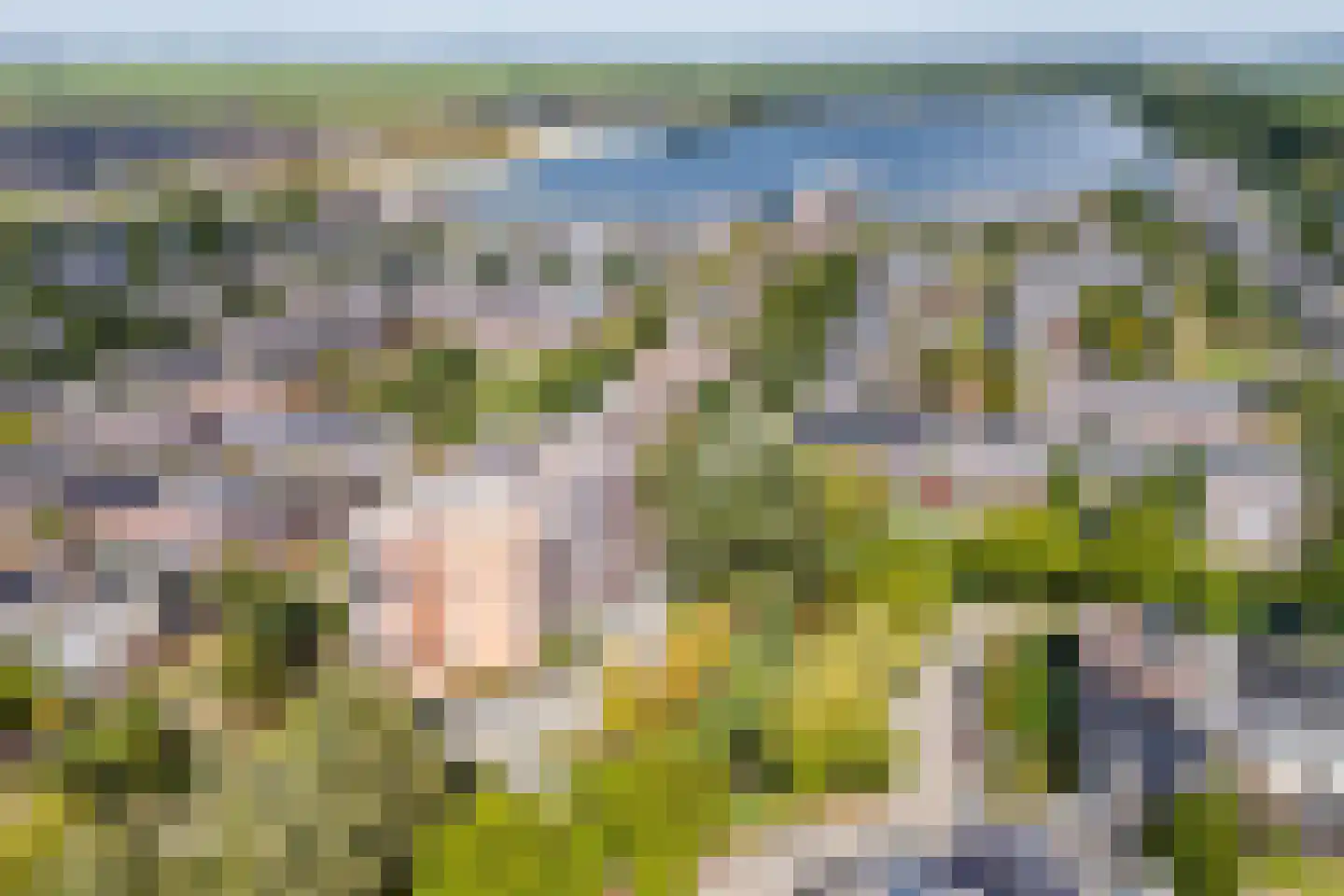Fonteinkruid 59 Zwolle thumbnail 6