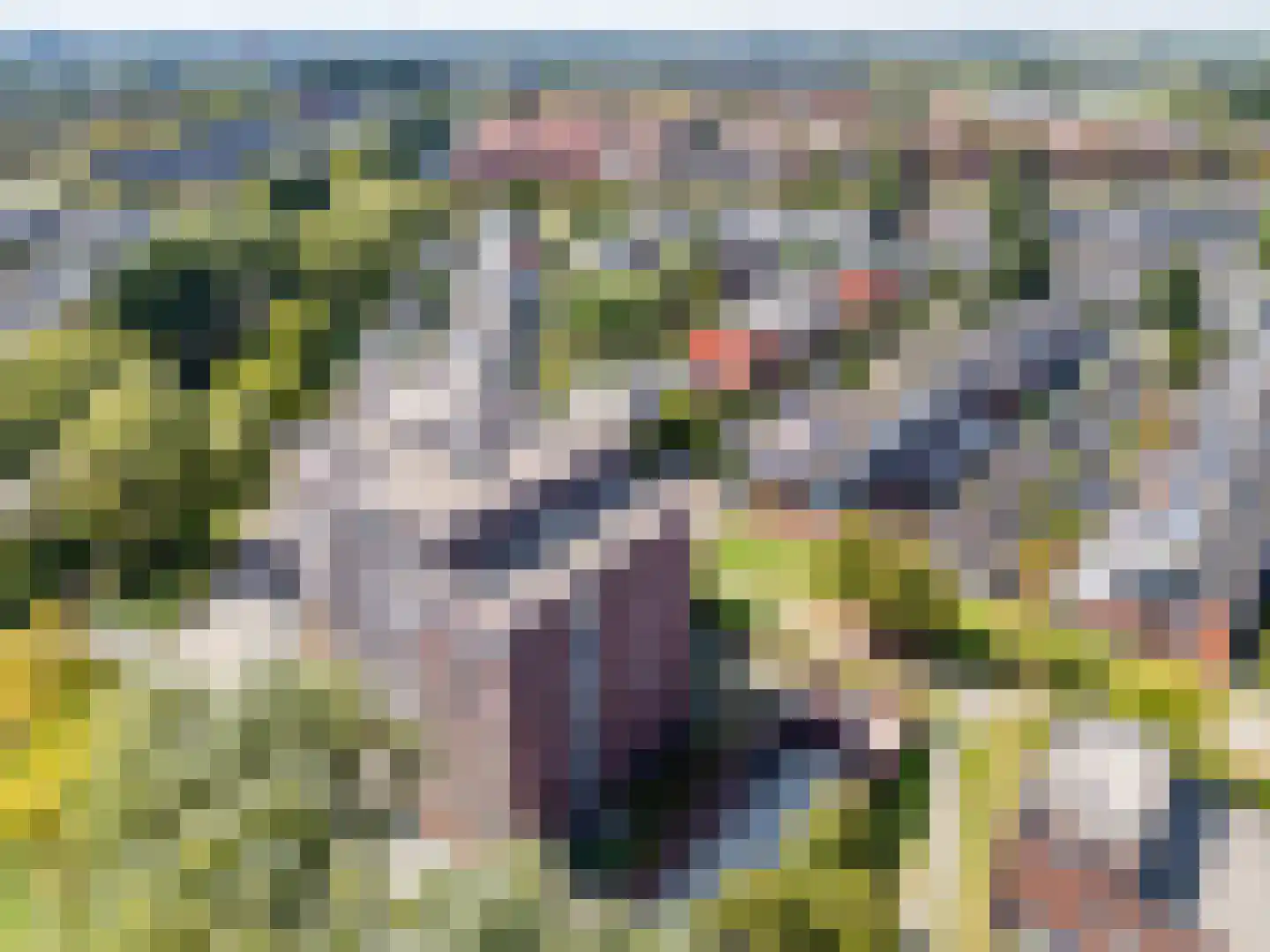 Fonteinkruid 59 Zwolle thumbnail 63