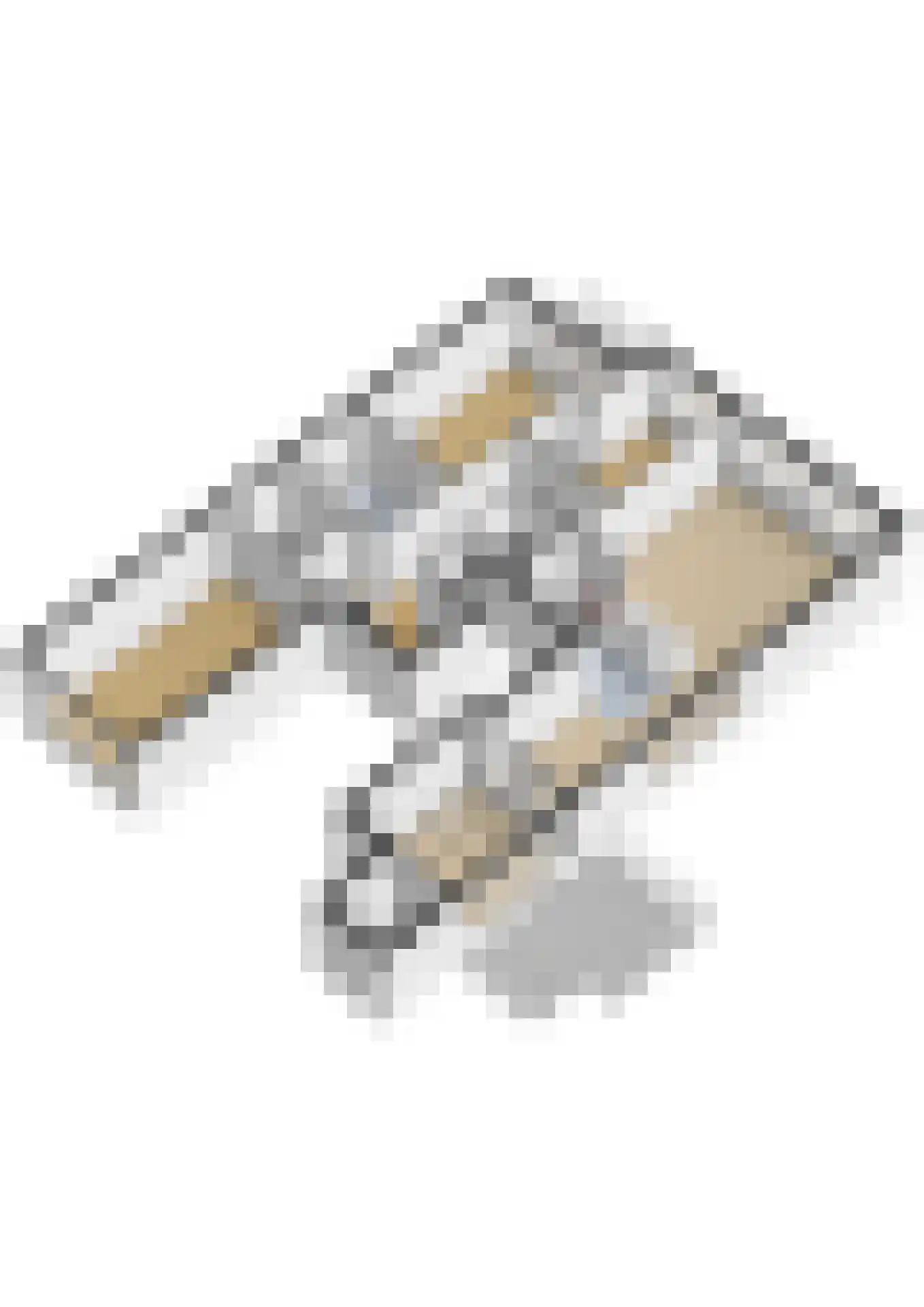 Fonteinkruid 59 Zwolle thumbnail 66