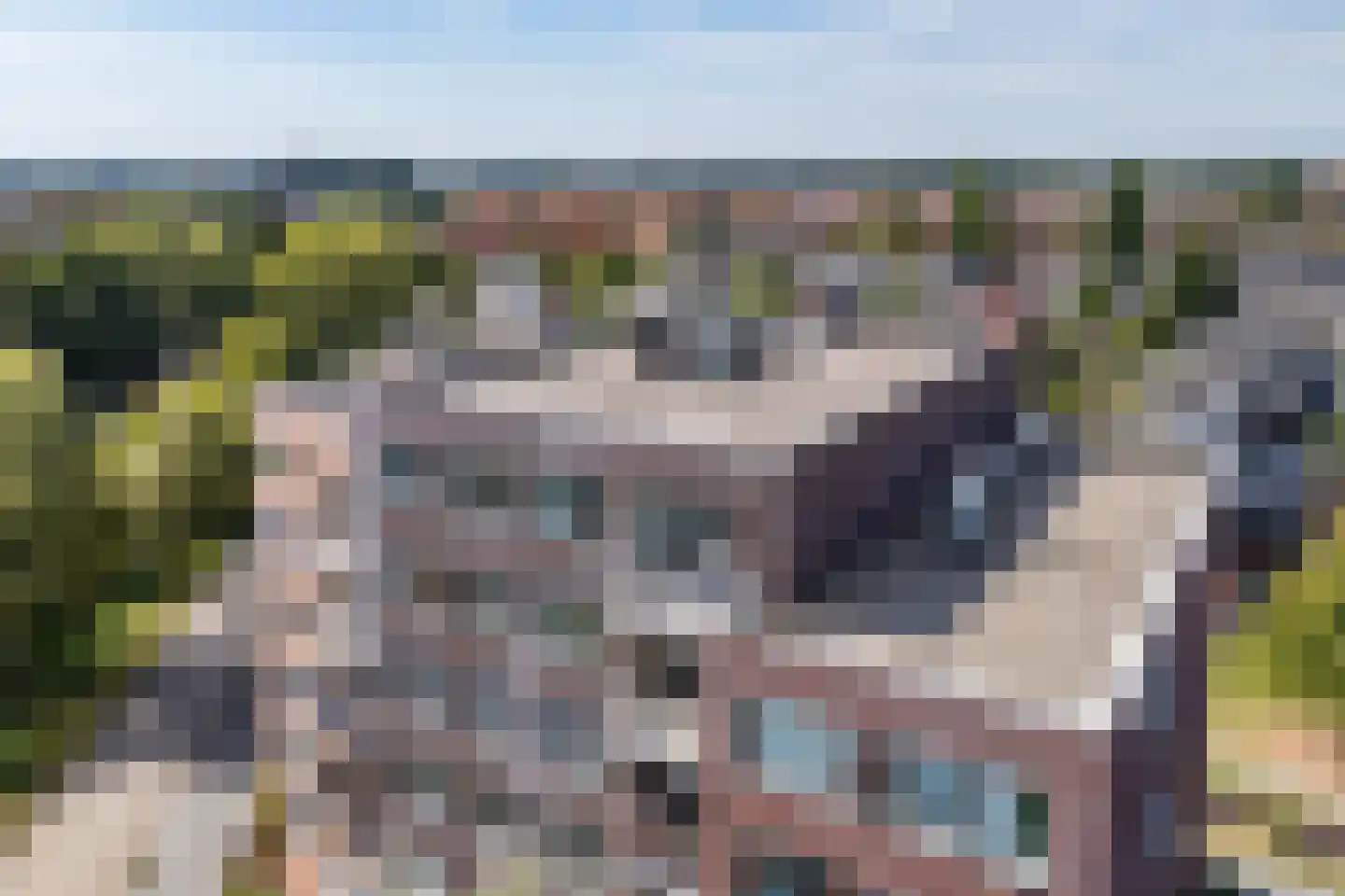 Fonteinkruid 59 Zwolle thumbnail 9