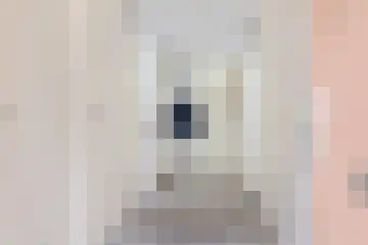 Fonteinkruid 6 Heerenveen thumbnail 11