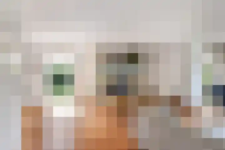 Fonteinkruid 6 Heerenveen thumbnail 13