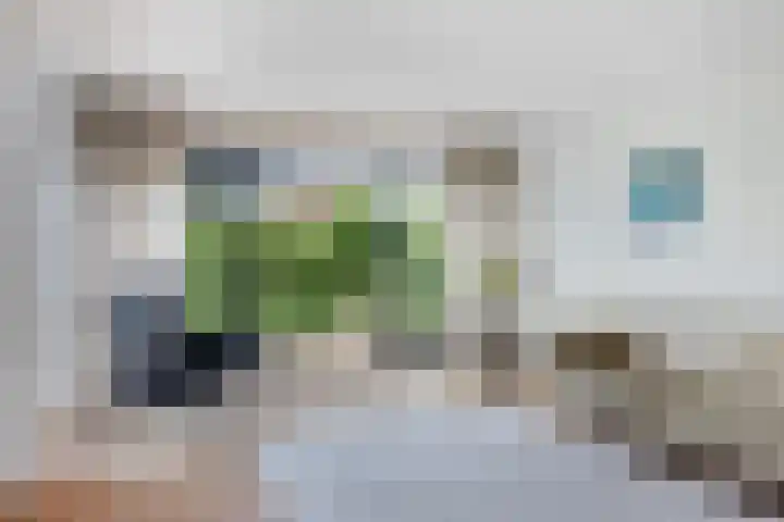 Fonteinkruid 6 Heerenveen thumbnail 15