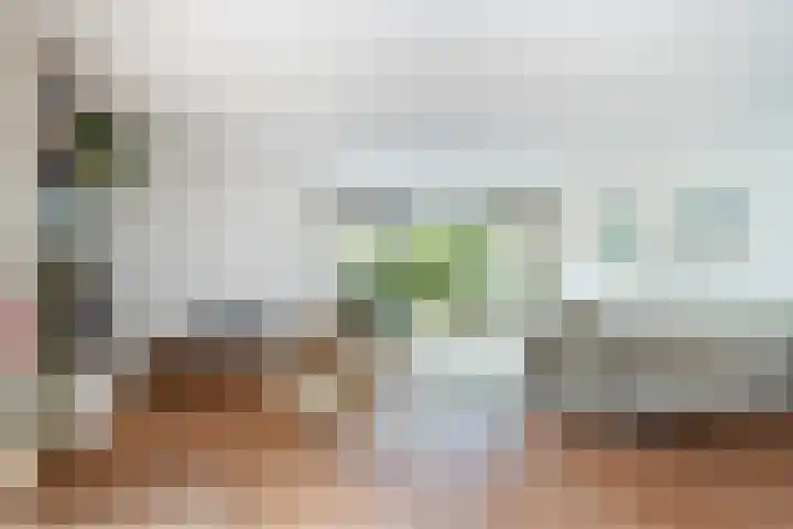 Fonteinkruid 6 Heerenveen thumbnail 19