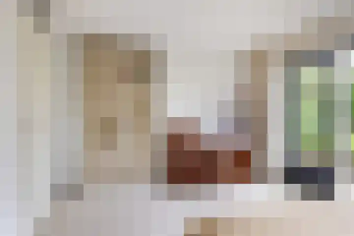 Fonteinkruid 6 Heerenveen thumbnail 27