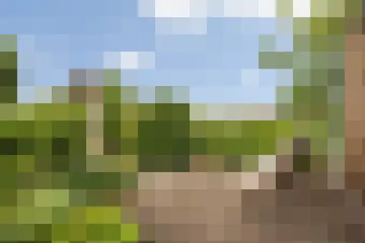 Fonteinkruid 6 Heerenveen thumbnail 31