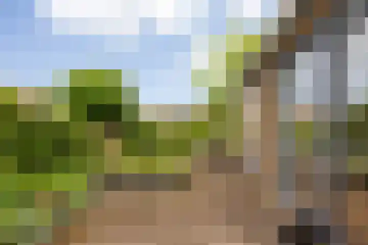 Fonteinkruid 6 Heerenveen thumbnail 32