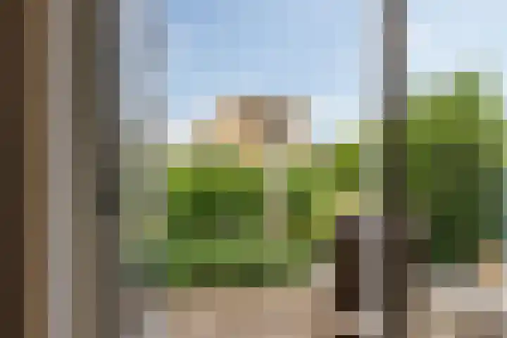 Fonteinkruid 6 Heerenveen thumbnail 33