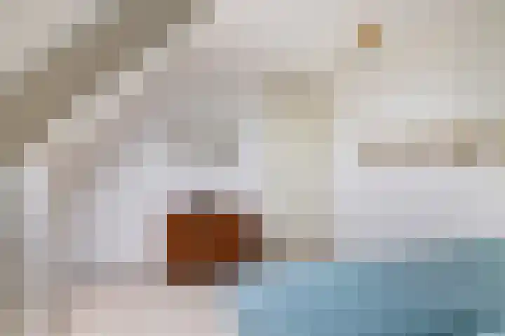 Fonteinkruid 6 Heerenveen thumbnail 34
