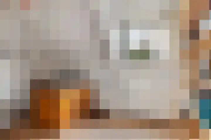Fonteinkruid 6 Heerenveen thumbnail 37