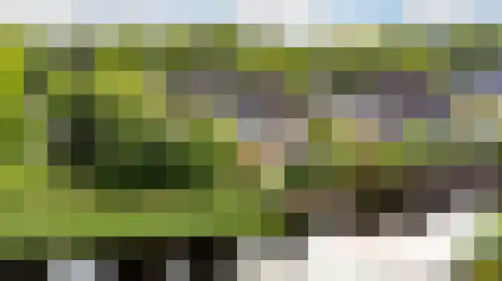 Fonteinkruid 6 Heerenveen thumbnail 41