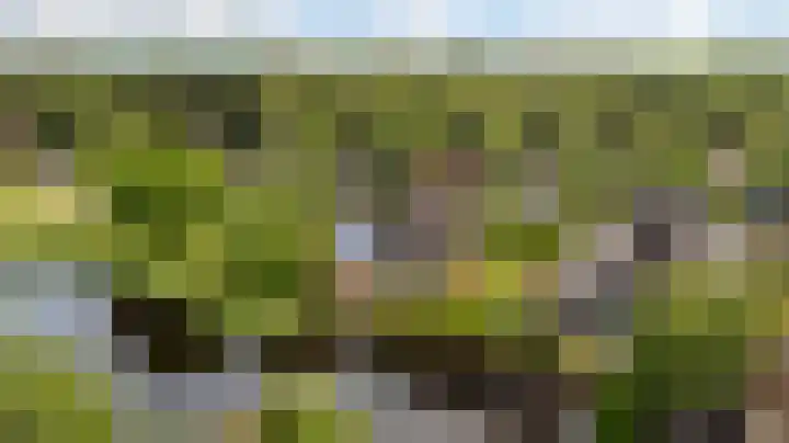 Fonteinkruid 6 Heerenveen thumbnail 42