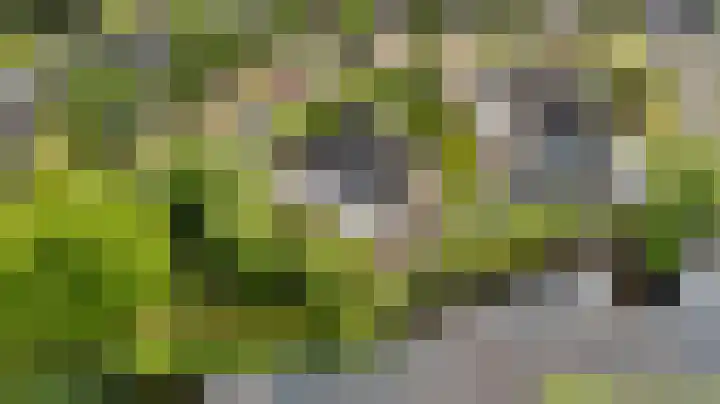 Fonteinkruid 6 Heerenveen thumbnail 43