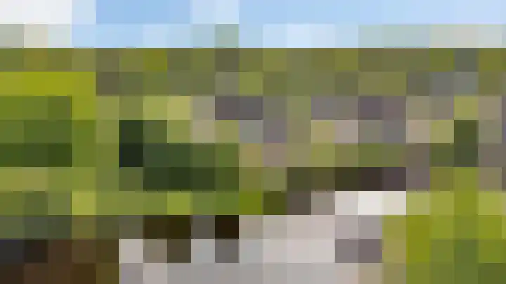 Fonteinkruid 6 Heerenveen thumbnail 44