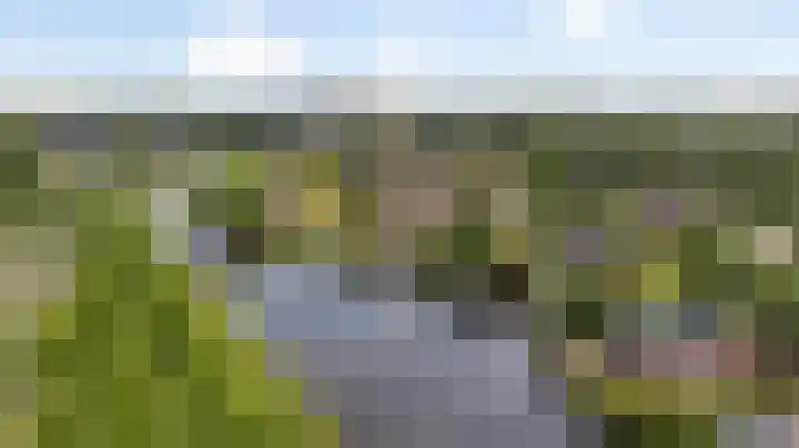 Fonteinkruid 6 Heerenveen thumbnail 45