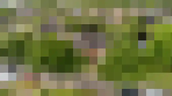 Fonteinkruid 6 Heerenveen thumbnail 46