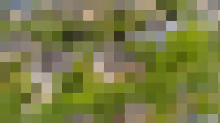 Fonteinkruid 6 Heerenveen thumbnail 47