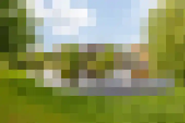 Fonteinkruid 6 Heerenveen thumbnail 48