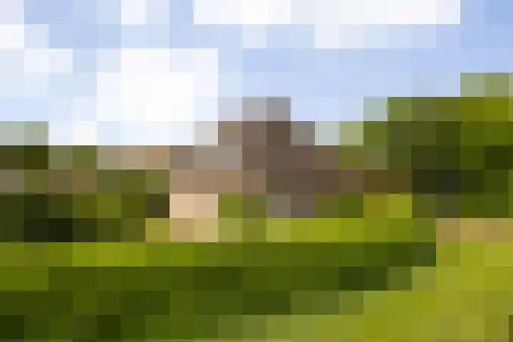Fonteinkruid 6 Heerenveen thumbnail 5