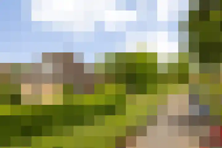 Fonteinkruid 6 Heerenveen thumbnail 6