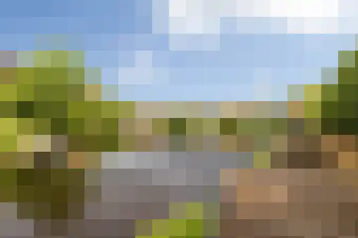 Fonteinkruid 6 Heerenveen thumbnail 7
