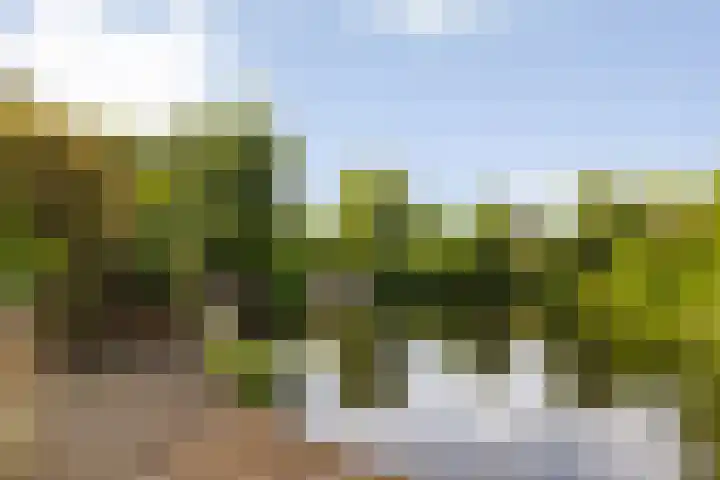 Fonteinkruid 6 Heerenveen thumbnail 8
