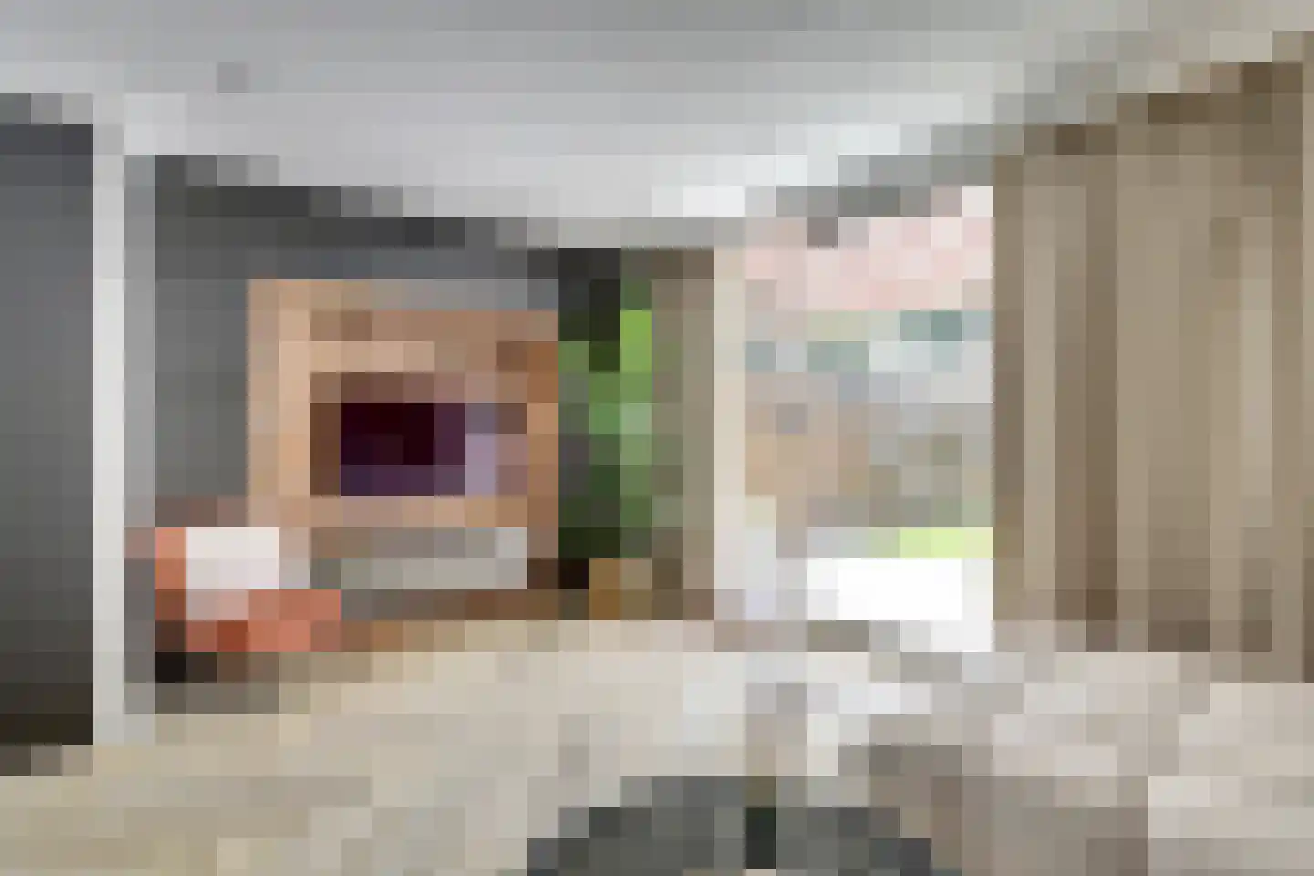 Fonteinkruid 60 Hendrik-Ido-Ambacht thumbnail 10