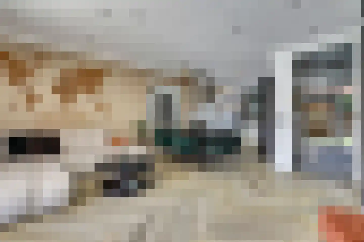 Fonteinkruid 60 Hendrik-Ido-Ambacht thumbnail 11