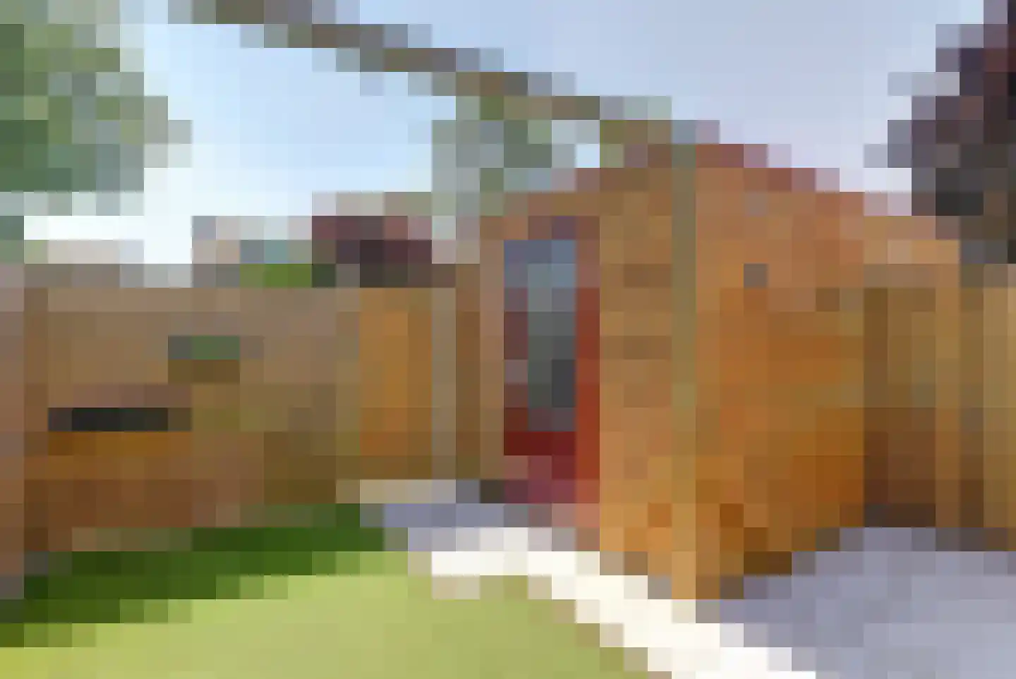 Fonteinkruid 60 Hendrik-Ido-Ambacht thumbnail 38