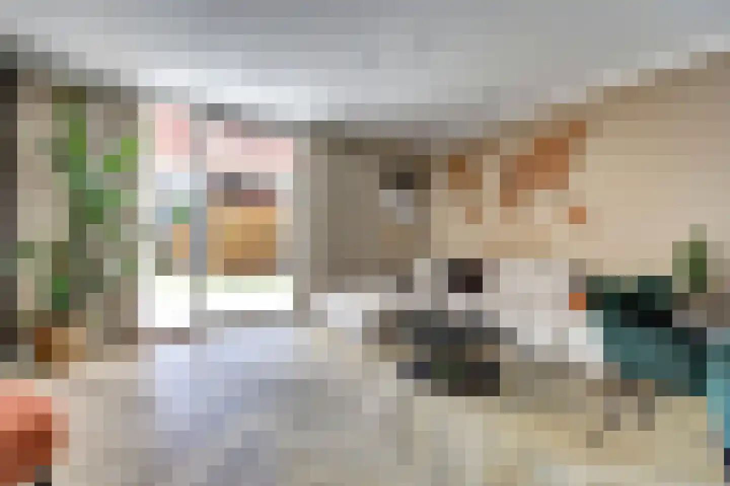 Fonteinkruid 60 Hendrik-Ido-Ambacht thumbnail 7